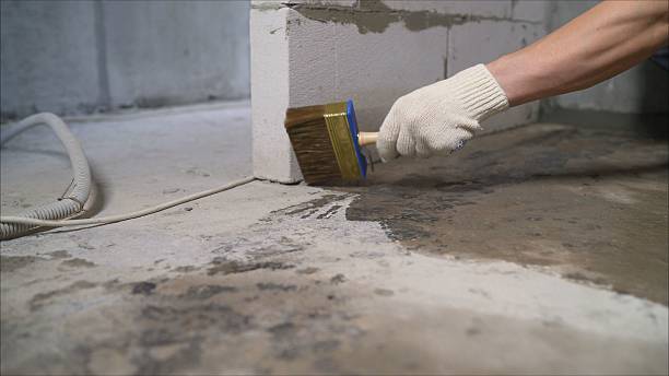 Top rated local Waterproofing specialists in Montclair, VA